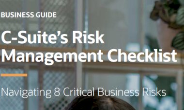 C-Suite Risk Management Checklist