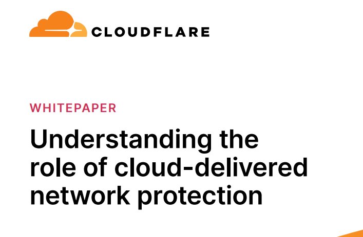 Understanding the role of cloud-delivered network protection